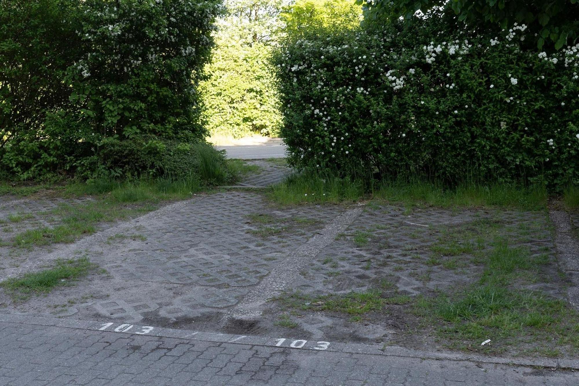 Apartament Berolina Sonnentau Dahme  Zewnętrze zdjęcie